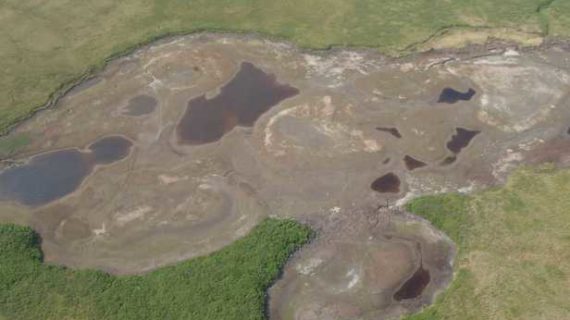 A Third of the Arctic’s Landmass is Now a Source of Carbon: Study