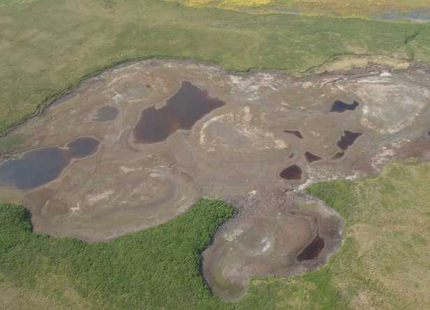 Arctic lakes are vanishing in surprise climate finding