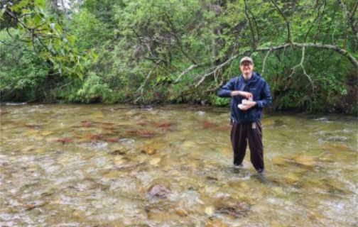 Research Reveals Water Conditions Increase Copper Toxicity for Three Alaska Salmon Species