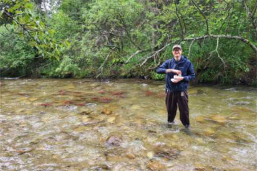 Research Reveals Water Conditions Increase Copper Toxicity for Three Alaska Salmon Species