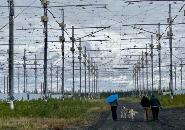 During a recent open house,visitors walk their dogs beneath an antenna field used to heat the upper atmosphere during space physics experiments at a facility known as HAARP between Glennallen and Tok. Photo by Ned Rozell