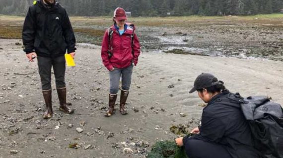 Intern leads efforts to encourage respectful harvest practices