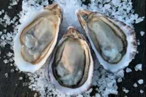 Pacific oysters on the half shell at Kodiak Ocean Bounty. Credit: Erik Obrien.