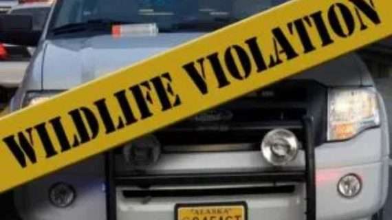 Alaska Wildlife Troopers Investigate September Moose Hunting Violations in Mat Valley