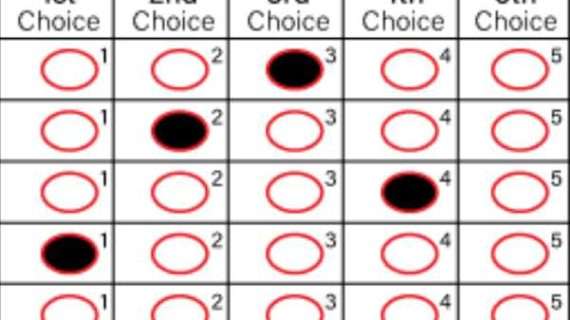 Alaskan Voters Encouraged to Make A Plan to Vote!