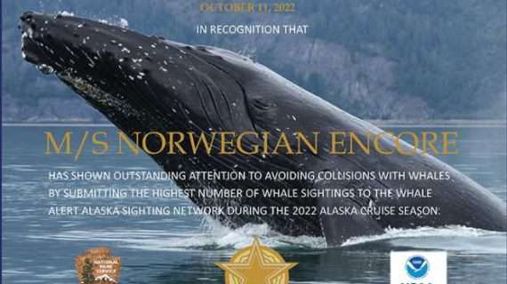 Cruise Ships Honored for Reporting Most Whales on Whale Alert Alaska Network