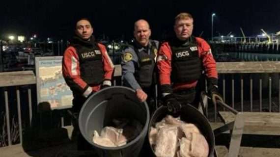 Coast Guard, NOAA seize illegally caught fish near Homer