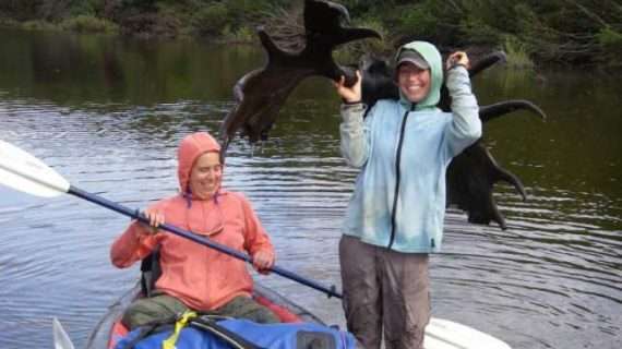 Ancient moose antlers hint of early arrival