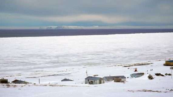 Marauding Polar Bear Kills Mother and Child in Village of Wales