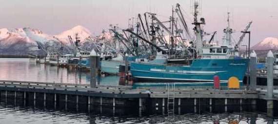 Empowering a Fleet Through Electronic Technologies