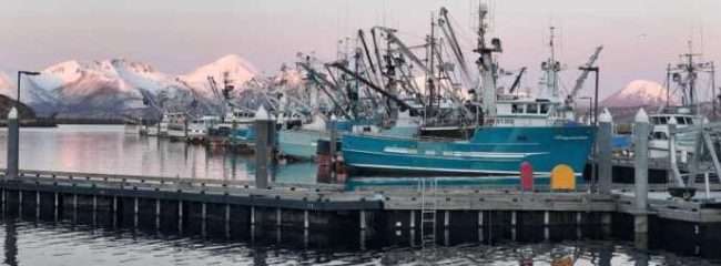 Trawl EM vessels at their home port in Sand Point, AK.