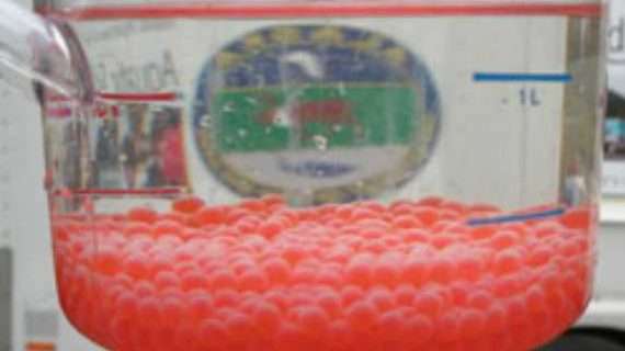 Salmon in the Classroom