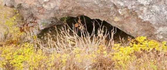 Cave-Alutiiq Word of the Week-March 12th