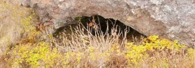 Photo: A cave on a hillside above Kiliuda Bay. AM972.
