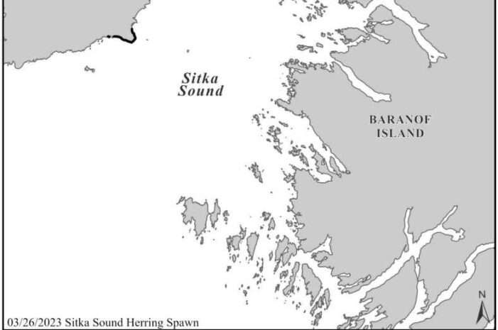 Sunday Sitka Sound Herring Fishery Update