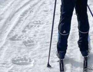 Fresh bear tracks on a snow machine trail. Image-Ned Rozell