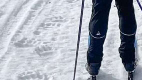 Bear tracks on snow a sign of the season