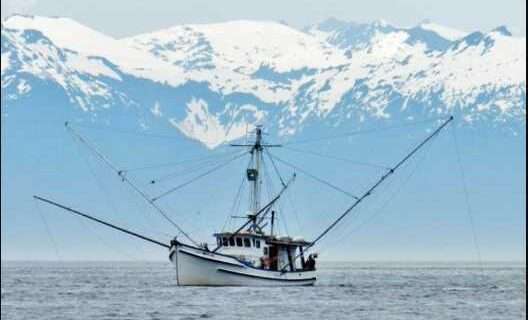 Alaska Delegation Celebrates Ninth Circuit Ruling Defending Southeast Troll Salmon Fishery