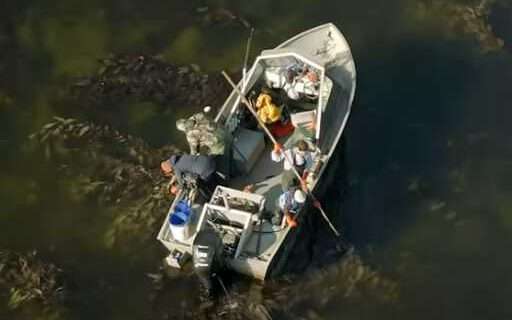 Prince of Wales Island Harvest Video Series Released