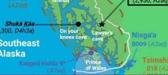 Searching for ancient bears in an Alaskan cave led to an important human discovery