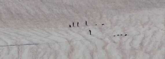 Algae blooms increase snowmelt in the Pacific Northwest by 20%