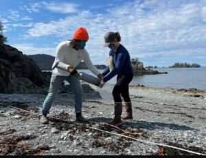 Brian Ulaski and Jennifer Tusten collect cores from the wrack line at Camel Rock in Kachemak Bay in summer 2021. Photo by Alice Bailey
