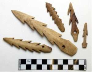 Photograph: Barbed harpoon points from the Rice Ridge site, Chiniak.
