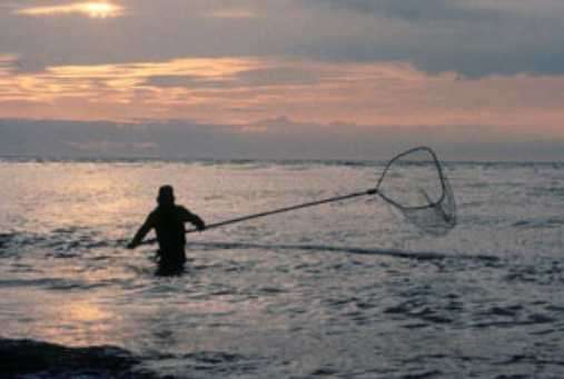 Kenai River Personal Use Dip Net Fishery to Open 24 Hours Per Day