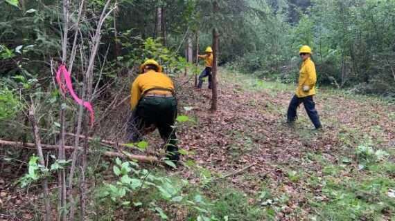 176th Wing firefighters protect Nenana from wildfires