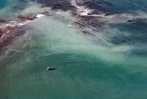 Aerial view of herring actively spawning along Kayak Island Alaska. Image property of Alaska Department of Fish and Game.