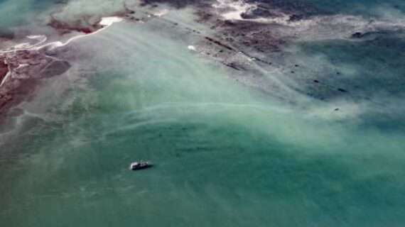 By Air and by Sea, Pacific Herring Research is Underway in Alaska