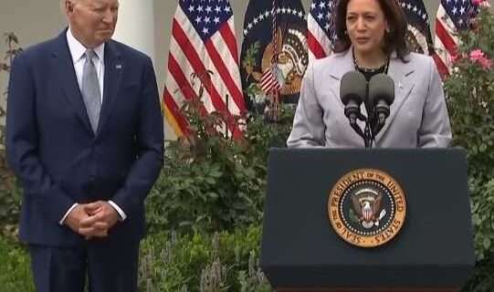 Biden Taps Harris to Lead New Office to Prevent Gun Violence