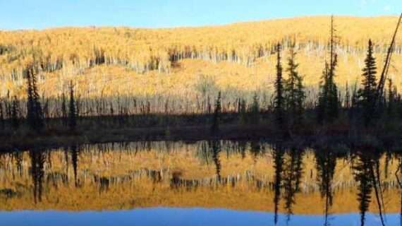 The varying colors of fall equinox