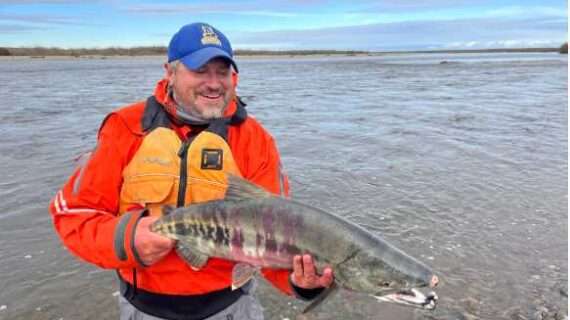 Confirmed: Salmon are spawning in Arctic rivers