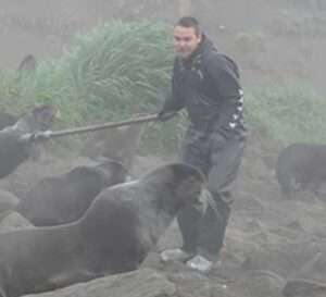 Dallas Roberts works amongst a herd of laaqudan to isolate an entangled animal. Credit: ACSPI ECO
