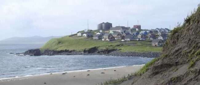 Laaqudan sleeping near the Aleut Community of St. Paul. Credit: Jamie Musbach/NOAA Fisheries
