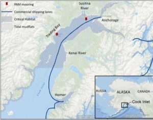 Map of Cook Inlet, Alaska, with red pins where underwater recordings used for this study. Stripes show Cook Inlet beluga whale critical habitat, and the blue line shows designated Port of Alaska commercial shipping lanes.Kim Shelden/NOAA Fisheries

