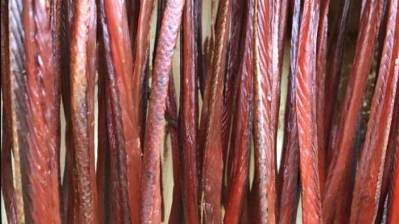 Yet Another Dramatic Arctic Report Card