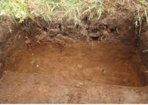 Photo: An archaeological site test near Old Harbor, showing layers of soil, AM711.
