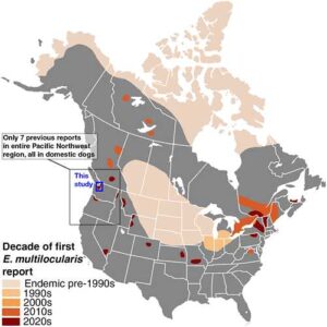 This map depicts expansion of E. multilocularis across the U.S. and Canada over multiple decades. Photo: PLOS Neglected Tropical Diseases/Hentati et al.
