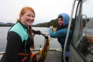 Assistant Professor Angie Bowers collects sorus tissue from fertile bullkelp with student Julie Sorrells to create seeded lines for outplanting in Sitka Sound. Image-UAS