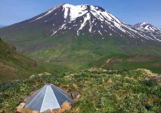 Korovin Volcano Set at Yellow with Seismic Activity and Sulfur Emissions