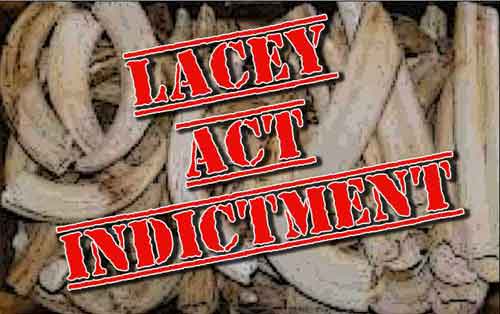Skagway Man Indicted on 10 Counts of Lacy Act Violations