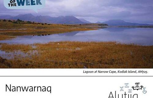 Lagoon-Alutiiq Word of the Week-May 15th