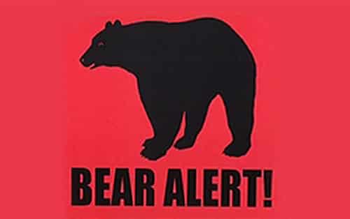 Bear Kills Hiker, Attacks Searcher