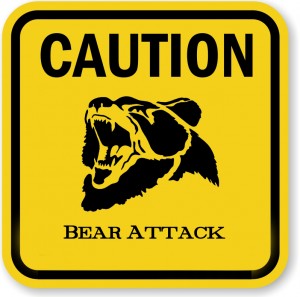 bear attack