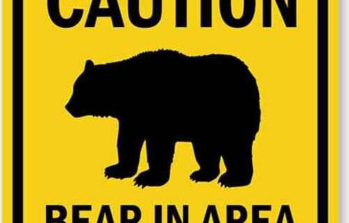 Bear activity necessitates temporary closure of Teklanika Campground