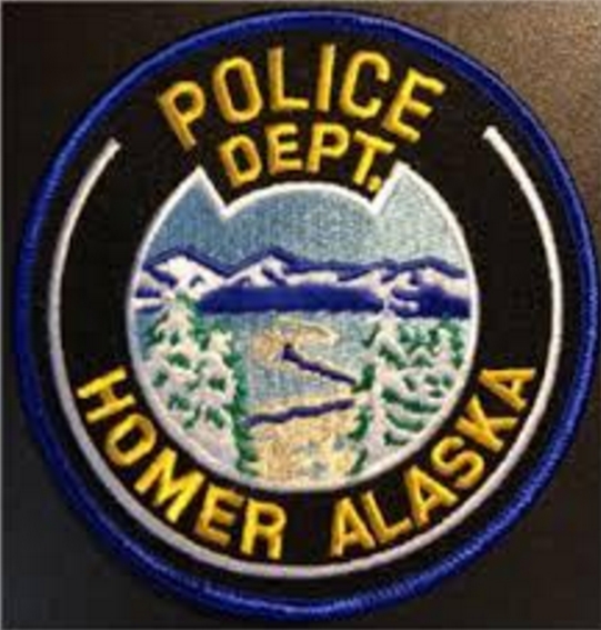 Two Arrested in Early Morning Homer Gun Incident