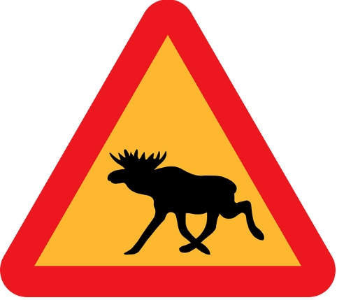Nikiski Woman Trampled by Moose when approaching Calf in Distress
