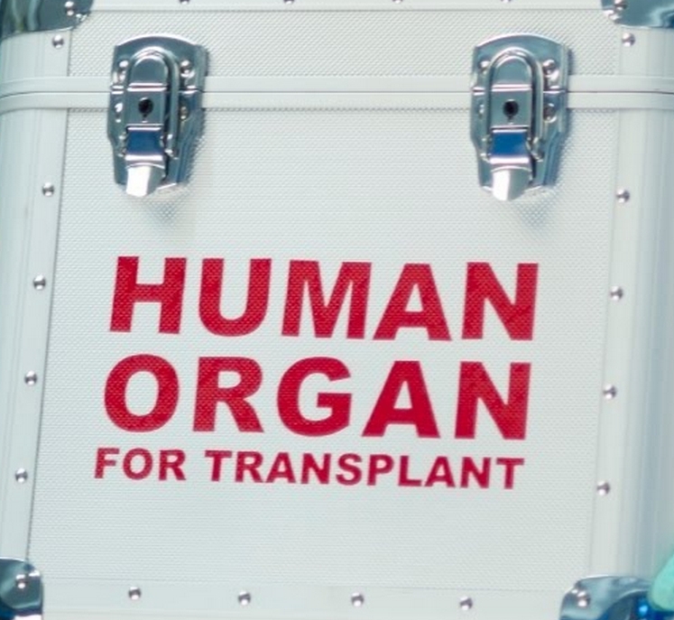 IS May Be Selling Human Organs, Iraqi Diplomat Says